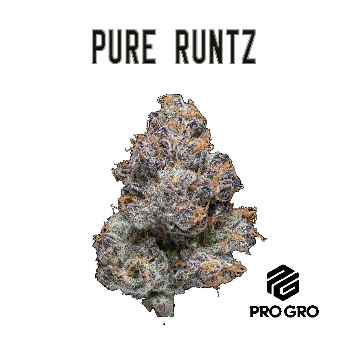 Pure Runtz | Deli cannabis product