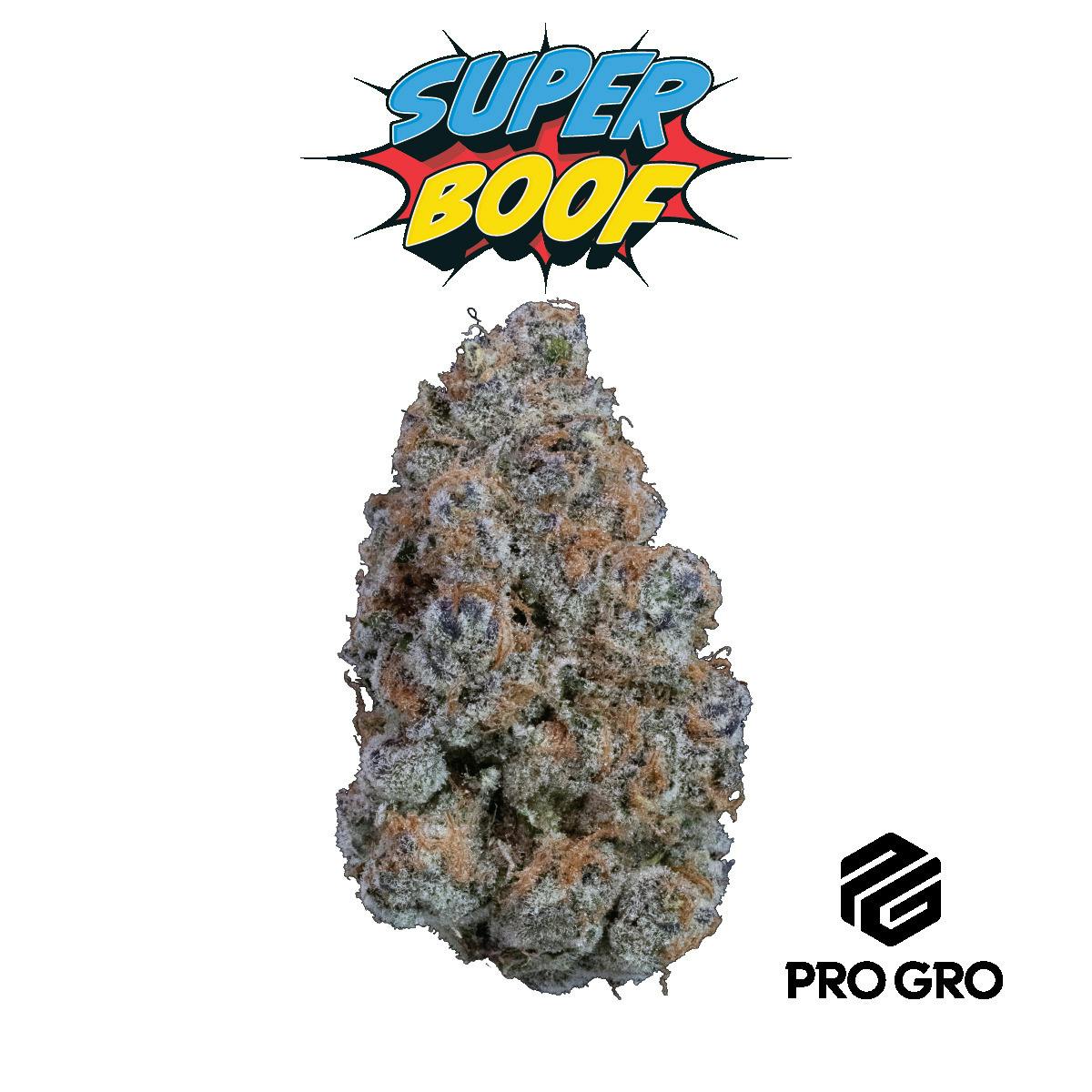 Super Boof | Deli
