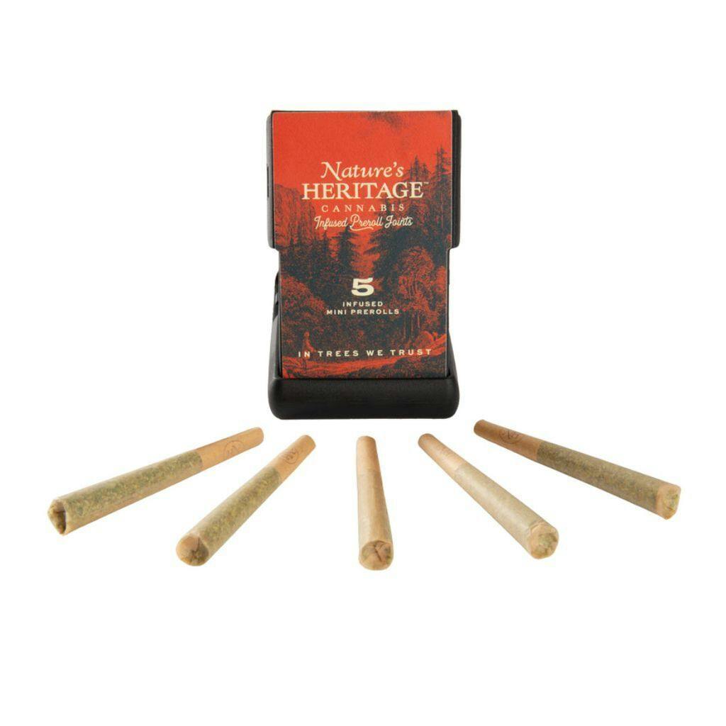 Nature's Heritage Governmint Oasis Infused Joints 5pk / 2.5g