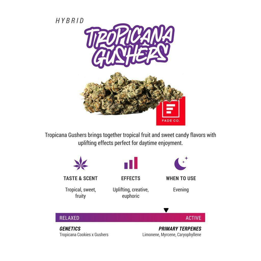 Fade Co. Tropicana Gushers Buds 3.5g