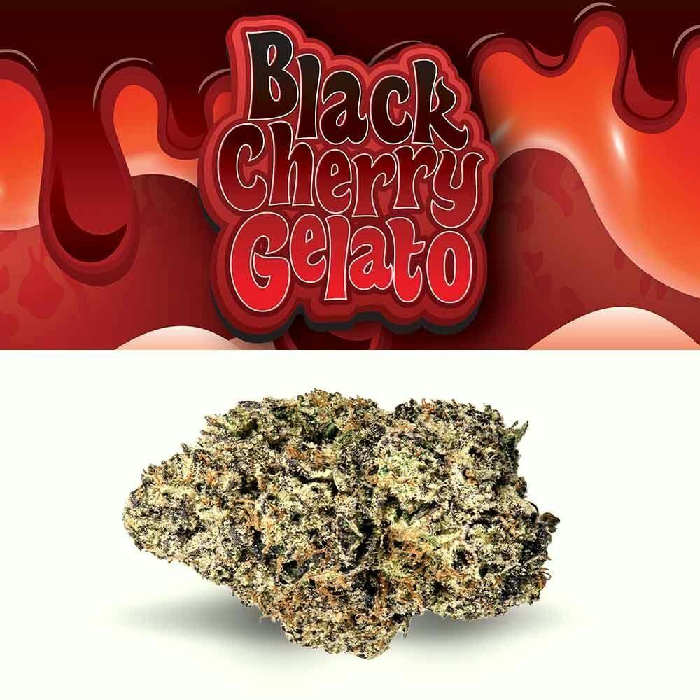 Cookies Black Cherry Gelato Buds 14g