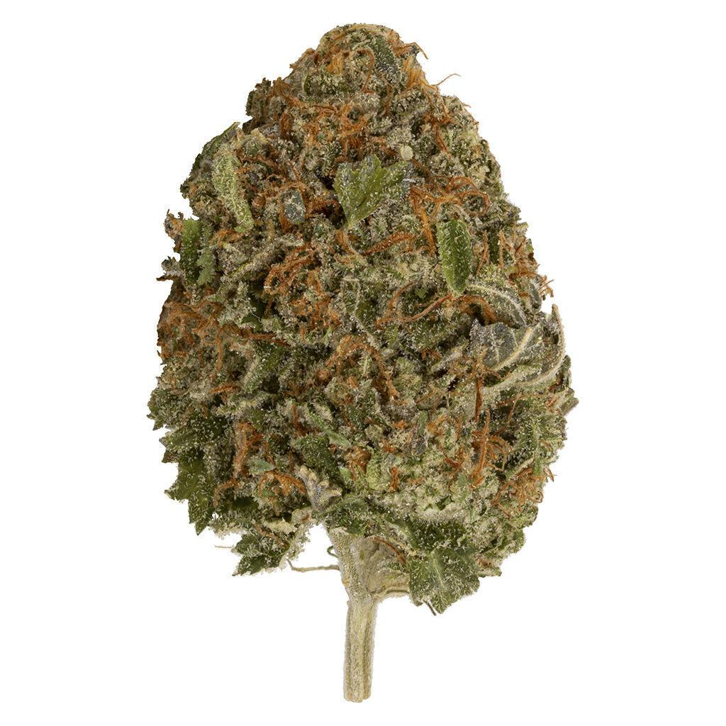 T 2.0 - Headstash Kush - Indica - 3.5g