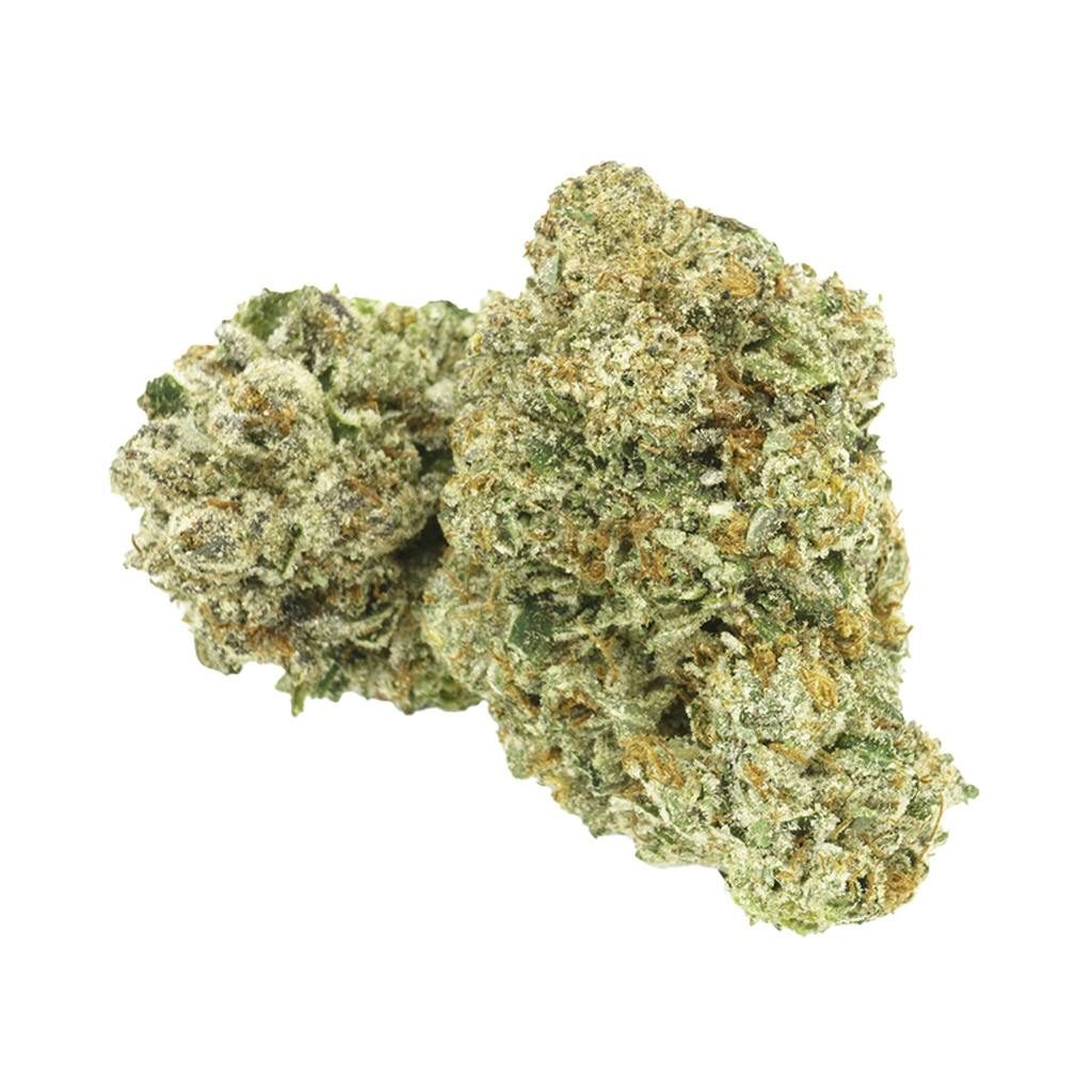 1964 - Organic Comatose - Indica - 14g