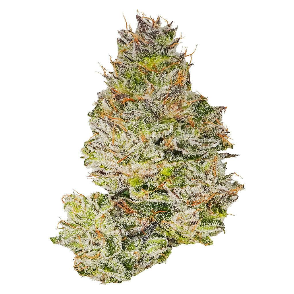 Bon Voyage! - Flight Pass - Hybrid - 7g