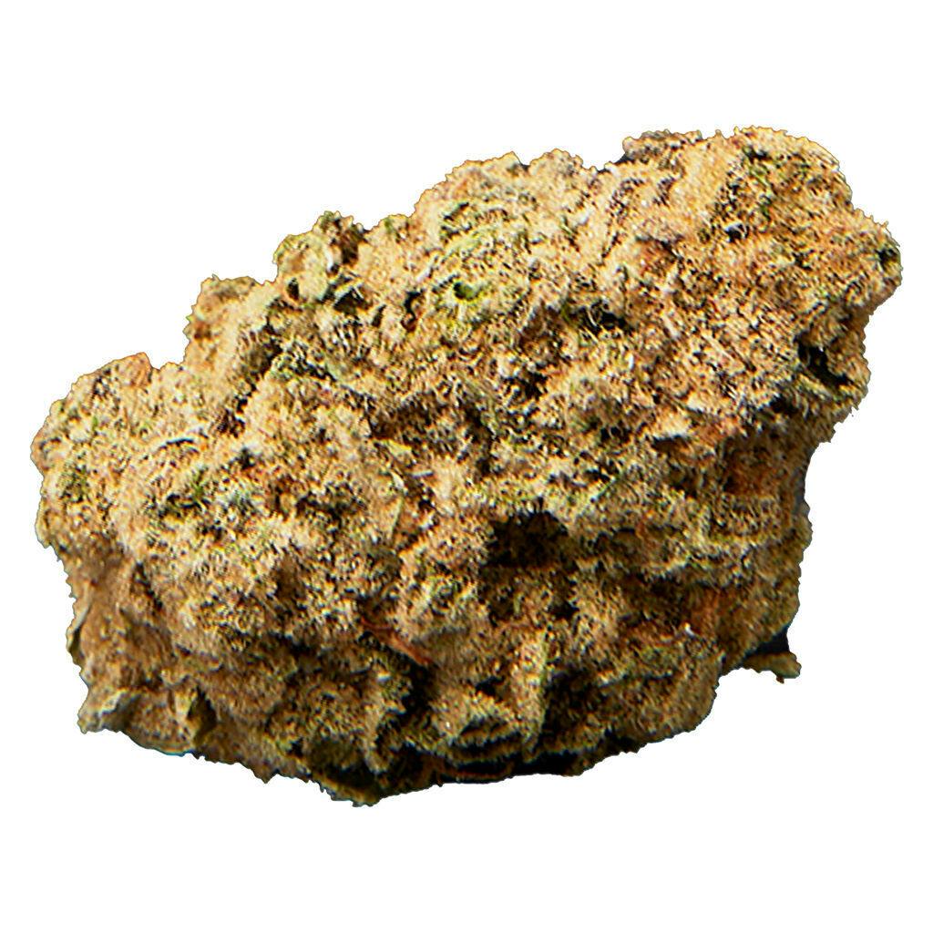 Qwest - P.S. Cheetah - Hybrid - 3.5g