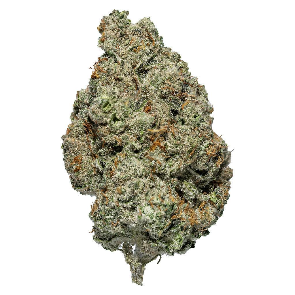 Carmel - Flamingo - Hybrid - 3.5g