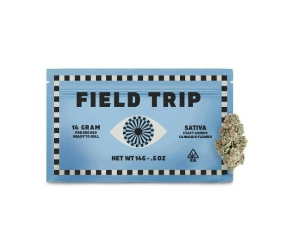 Field Trip: Jungle Bird