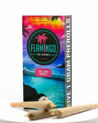 Super Buff Cherry / Flamingo