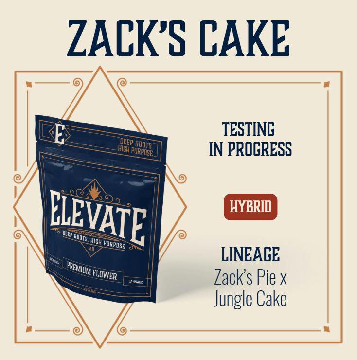 Elevate | Zack's Cake