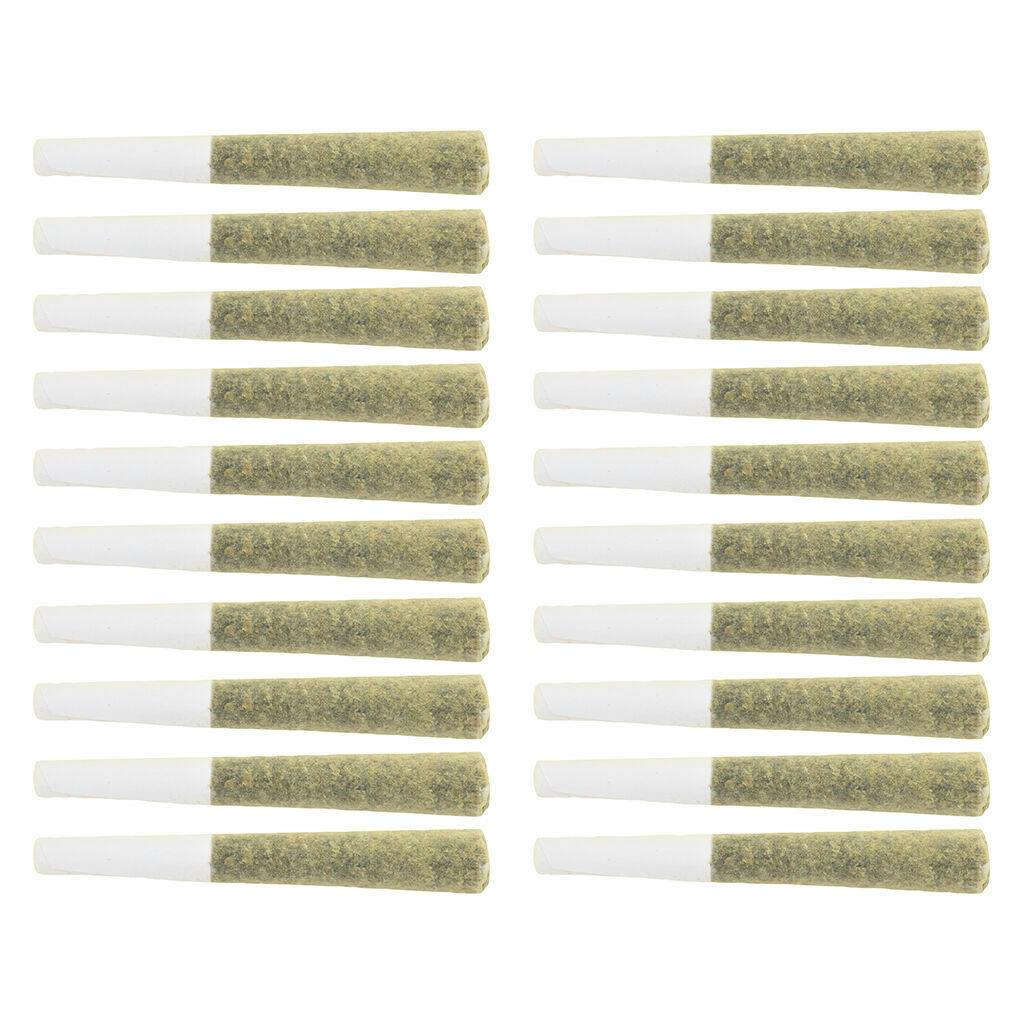 The Loud Plug - Multi G Pack Pre-Roll - Hybrid - 20x0.5g