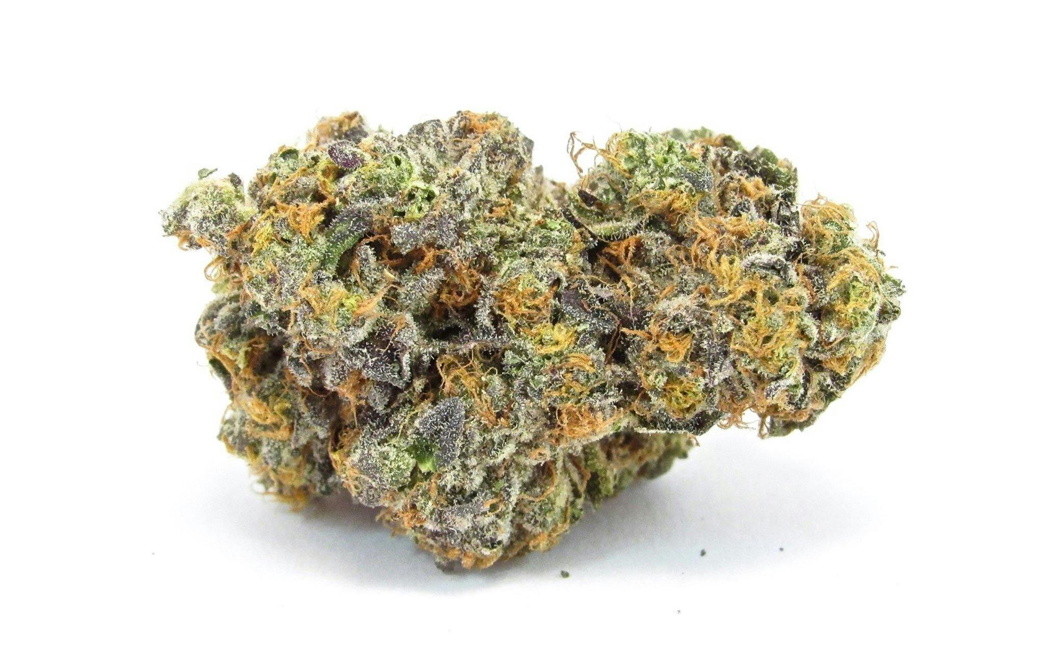 SOLACE GROWN - GARY PAYTON - TOP SHELF - 1/2 OZ