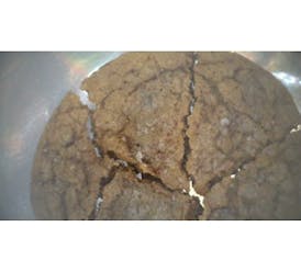 Cookie Brown Butter Chocolate Chunk #0065