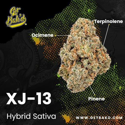 XJ-13 (3.5G UNITS)