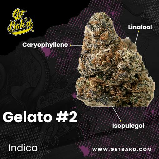 Gelato 2 (3.5G Units)