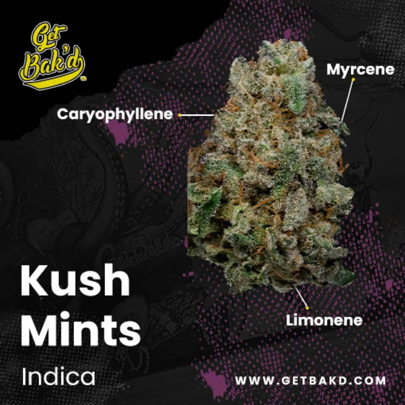 Kush Mints 3.5G (UNITS)
