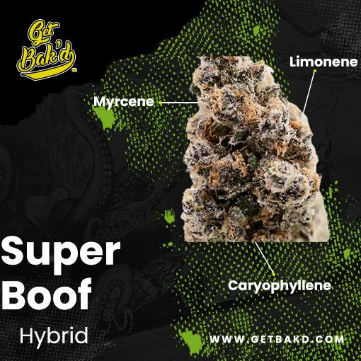 Superboof - Hybrid - 31.30/3.15