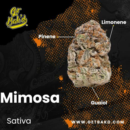 Mimosa 3.5G (UNITS)