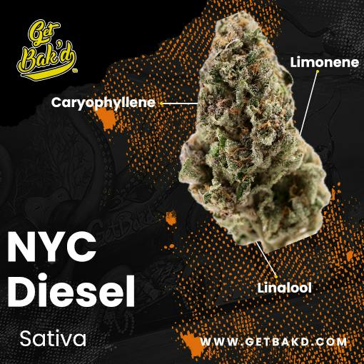 NYC Diesel 7G (UNITS)