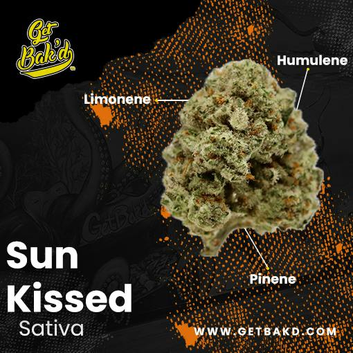 Sun Kissed 3.5G (UNITS)