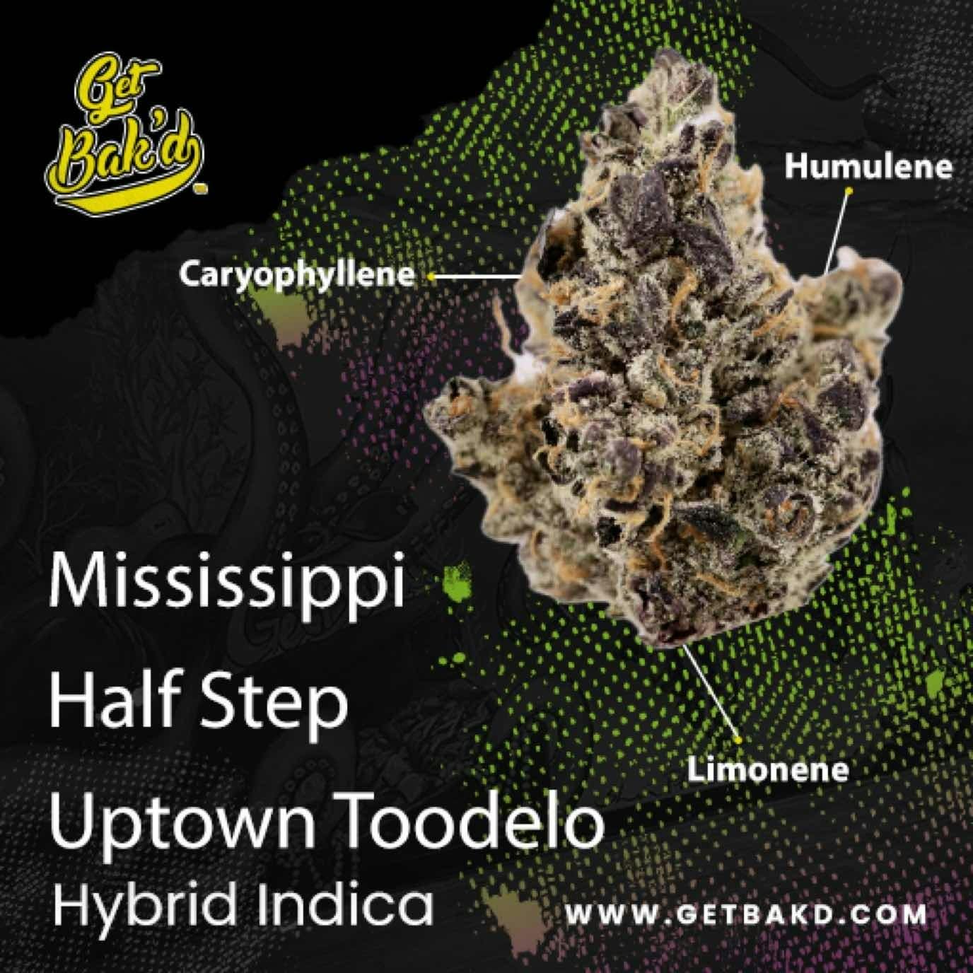 Mississippi Half-Step Uptown Toodeloo 3.5 (UNITS)