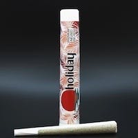 Holiday Cannabis - Apple Tartz - Bubble Hash Infused Pre-Roll - 1.5G - Hybrid