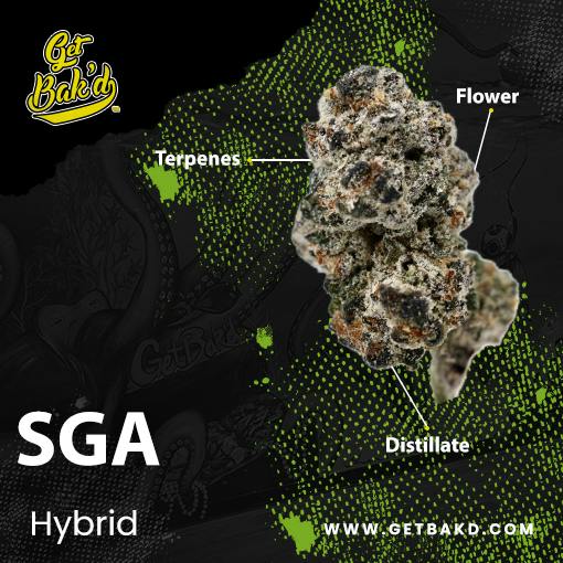 SGA 3.5G (UNITS)