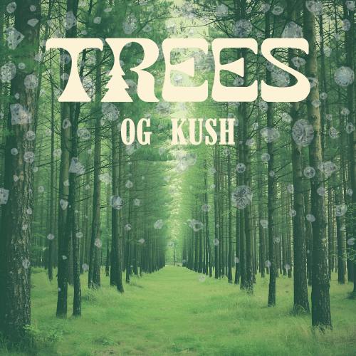 Trees - 1.6g Infused Pre-Roll - OG Kush - Hybrid