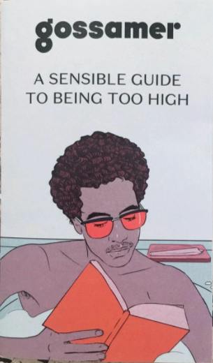 Sensible Guide to Being Too High Pamphlet