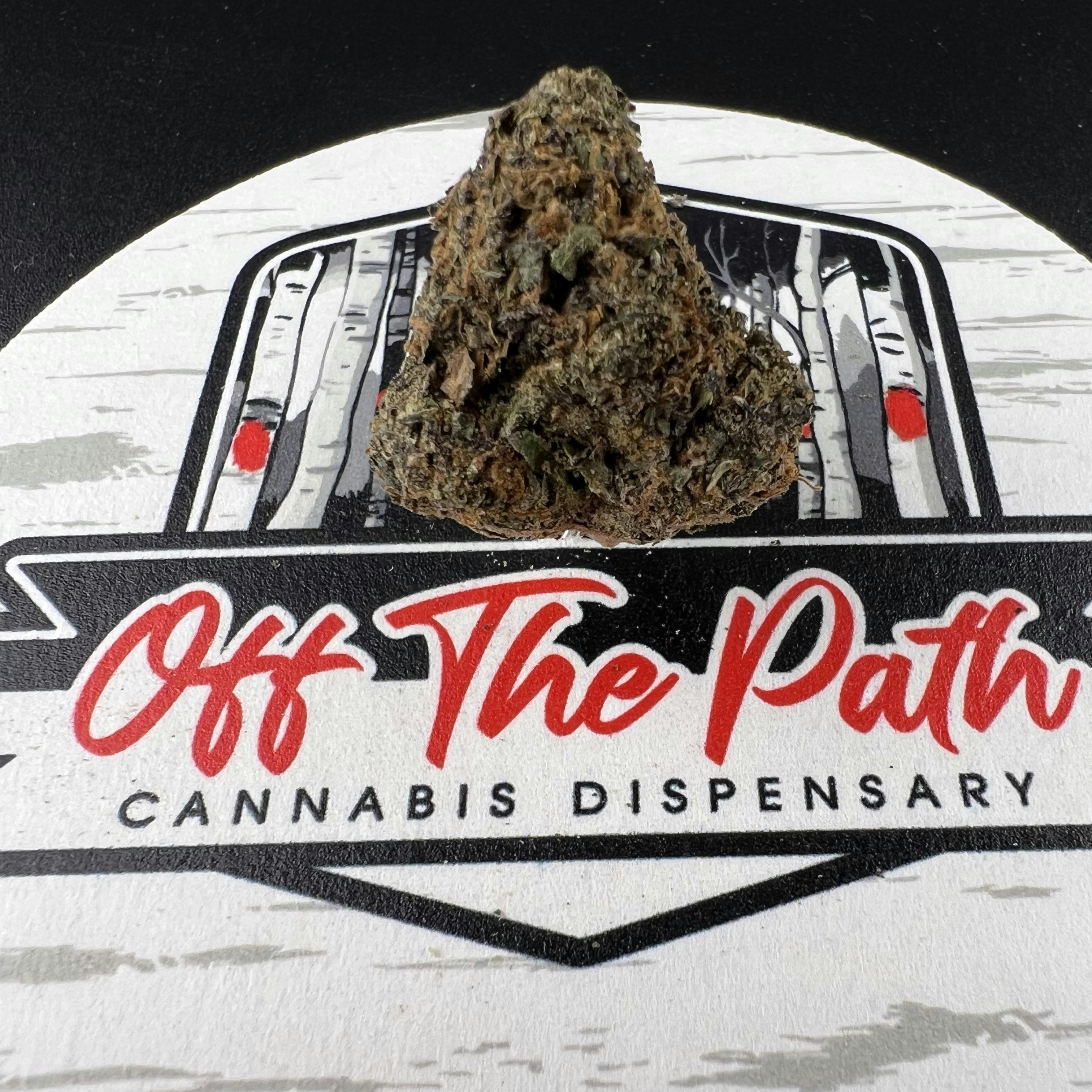 Blue Dream - Pathwalkers 1g Preroll Tin - Sativa - Flower - 5 Pack at Off the Path Cannabis Dispensary