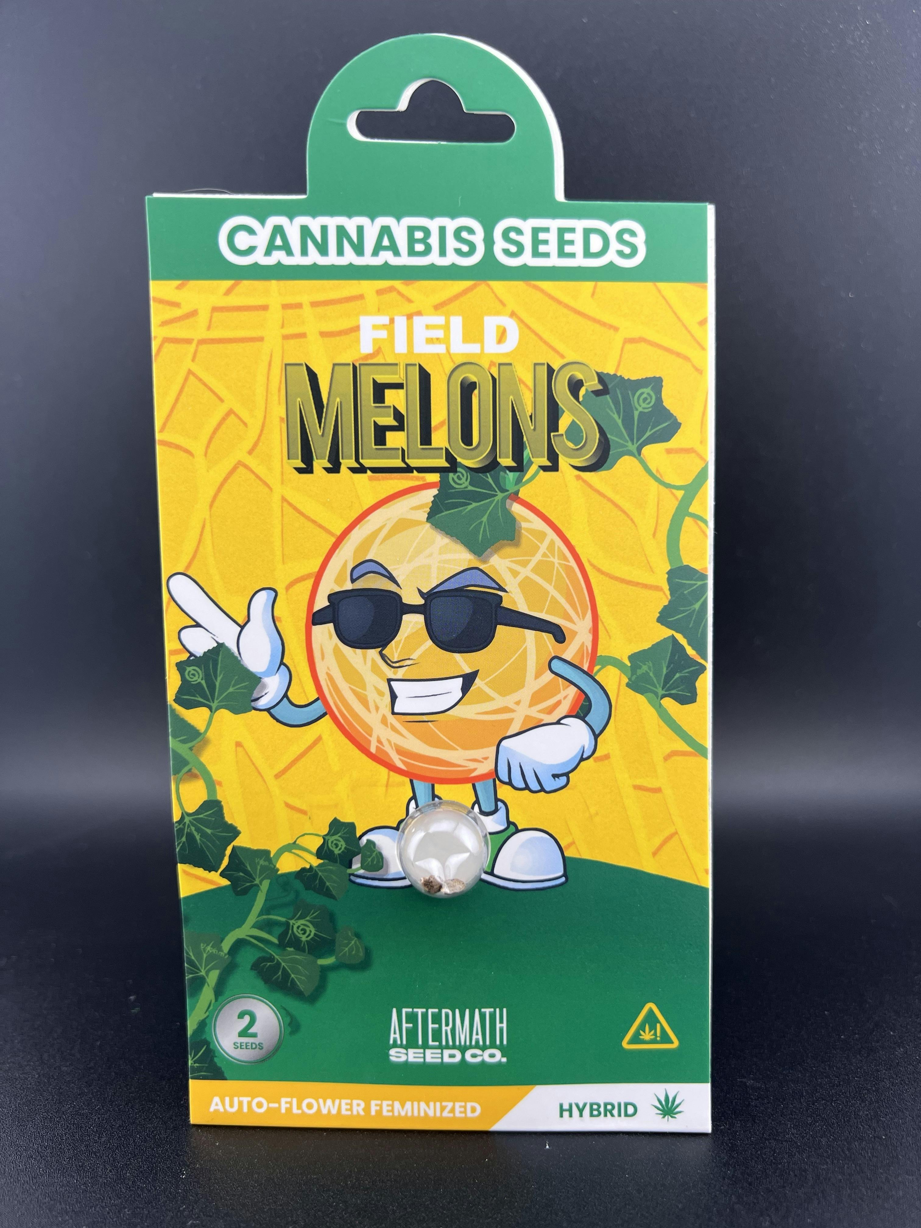 Aftermath Seed Co. - Field Melon - Cannabis Seeds - 2pk at Off the Path Cannabis Dispensary