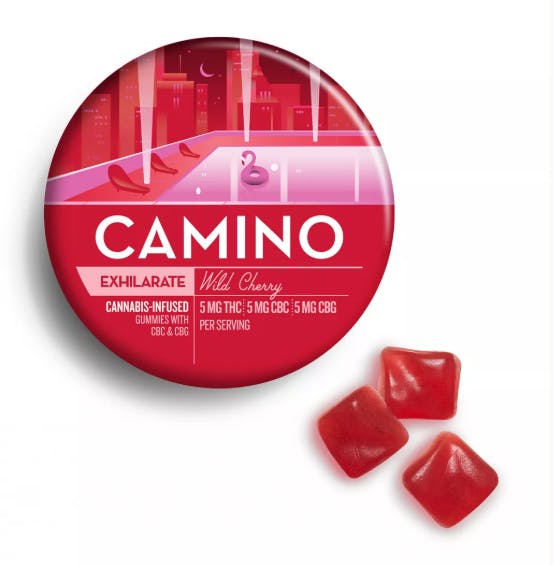 CAMINO: Exhilirate - Wild Cherry