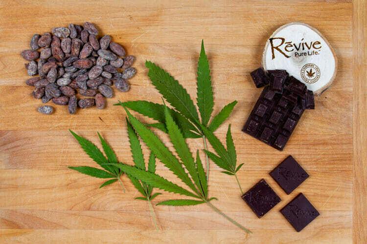 Revive: Revive Chocolate Bar - Milk