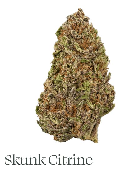 Sun Roots Farm: Skunk Citrine