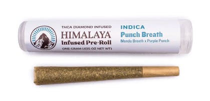 Himalaya: Galatic Runtz