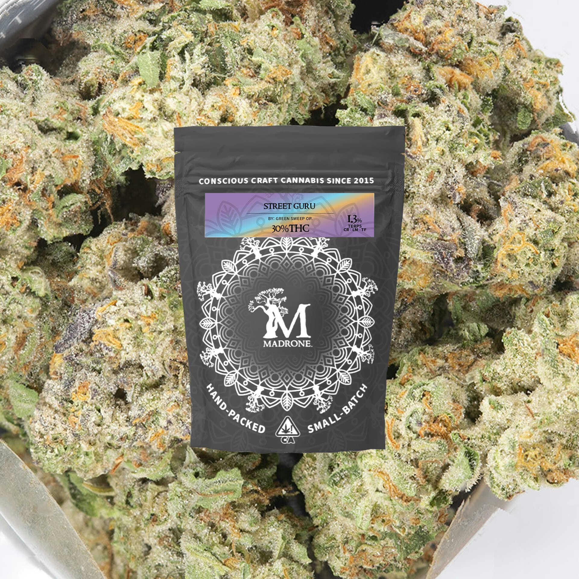 Madrone: Street Guru