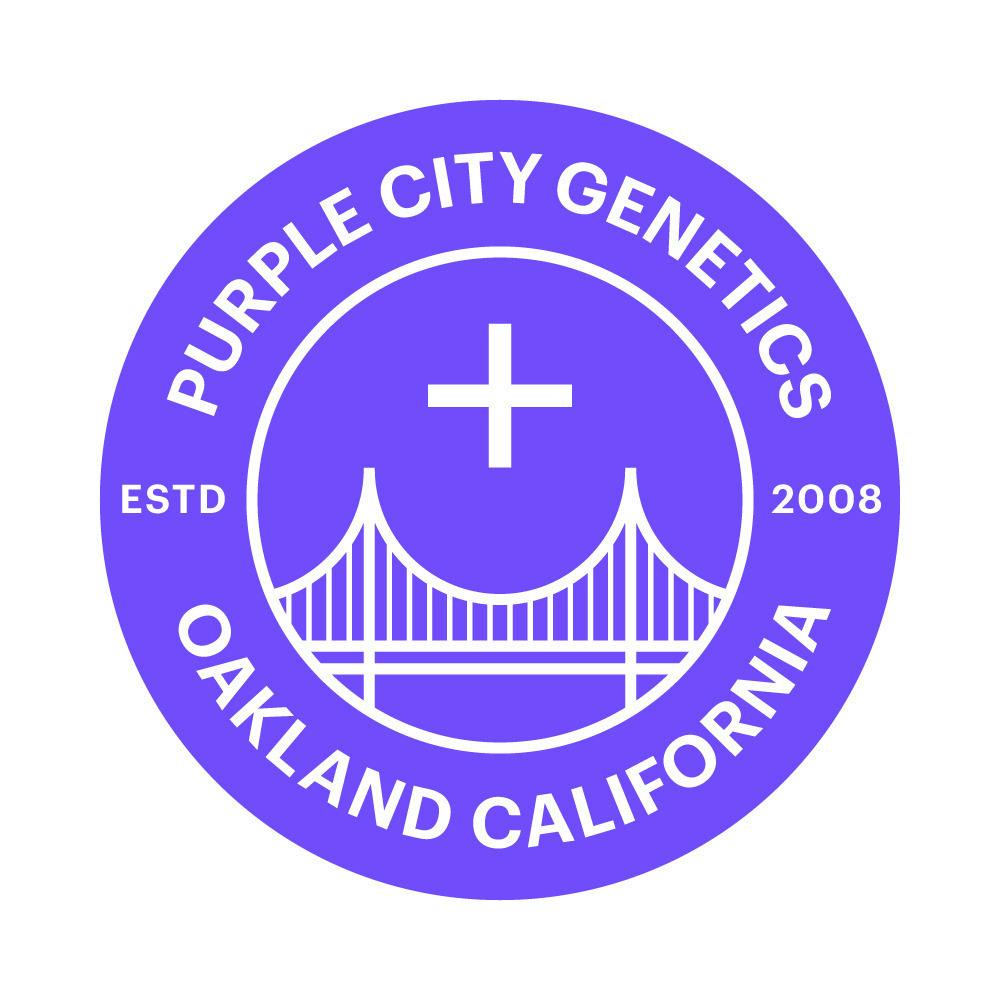 Purple City Genetics - PCG Feminized Seeds - 3pk - Habibi (ID)