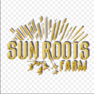 Sun Roots Farm: Citrine Rose