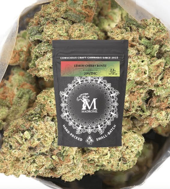 Madrone: Lemon Cherry Gelato