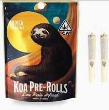 Koa/Dompen: Lemon Cherry Gelato