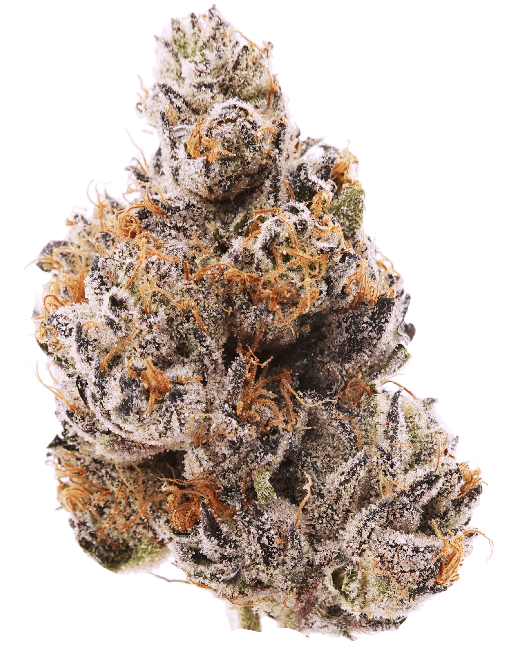 Kush Face - Ztendo