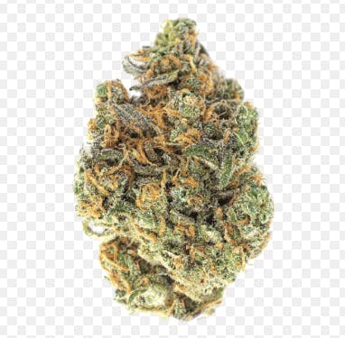 Mendo: Lemon Bean