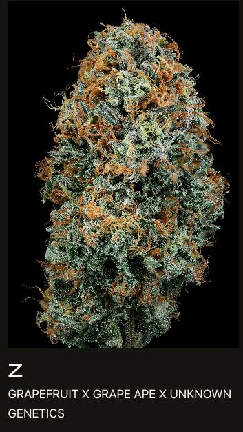 Wood Wide - Wood Wide Pre-Roll - GSC (ID)