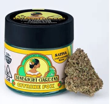 SUNBRIGHT GARDENS: Citrine Fox