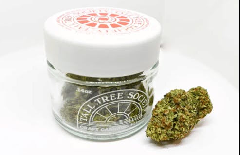 Tall Tree Society: Purple Lemonade