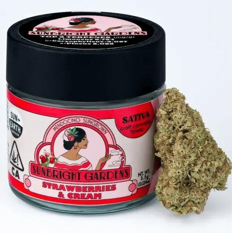 SUNBRIGHT GARDENS: Strawberries & Cream - Sour Daddy