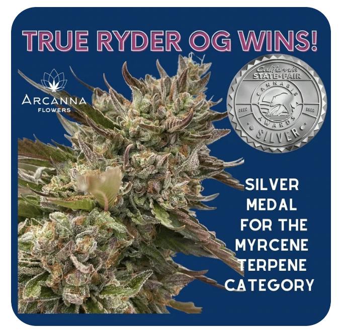Arcanna Flowers - True Ryder - half oz