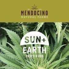 Mendocino Natural Farms: Lemon Cherry Gelato