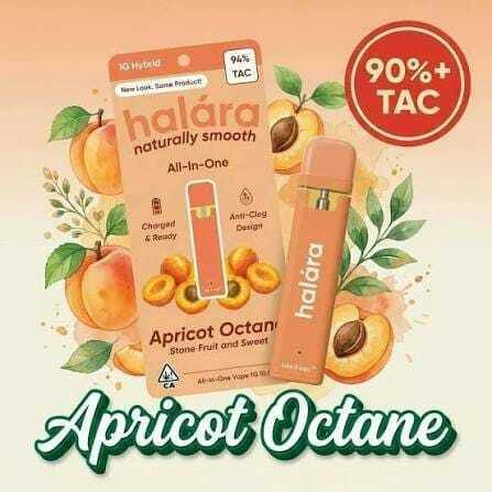 Halara - Halara All In One - Strawberry Sugar (S)