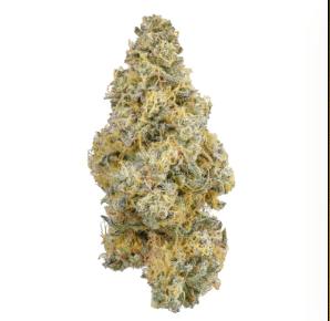 Humboldt Gardens - GMO Bx1 - eighth