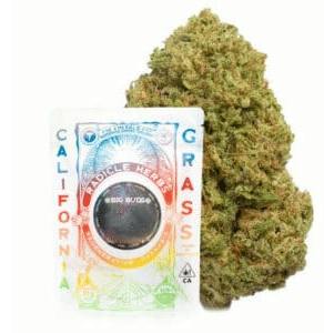 Radicle Herbs - Watermelon Dream - eighth